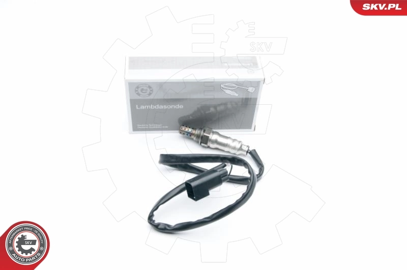 Oxygen Sensor